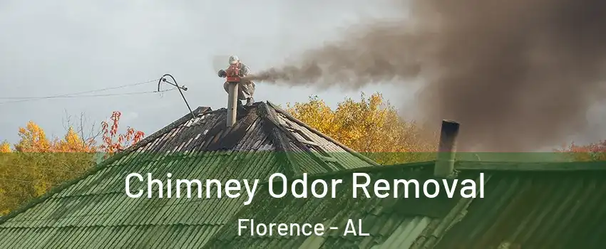  Chimney Odor Removal Florence - AL