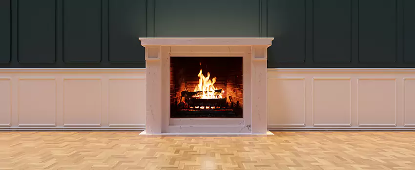 Napoleon Electric Fireplaces Inspection Service in Florence, Alabama