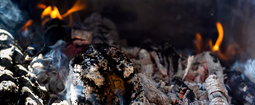 Creosote Removal Experts in Florence, AL